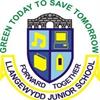 Llangewydd Junior